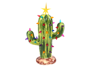 christmas cactus