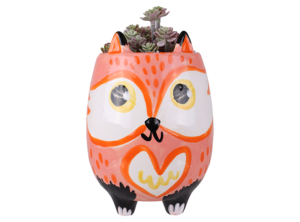 Fox Planter