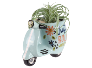 Just Roll With It Planter